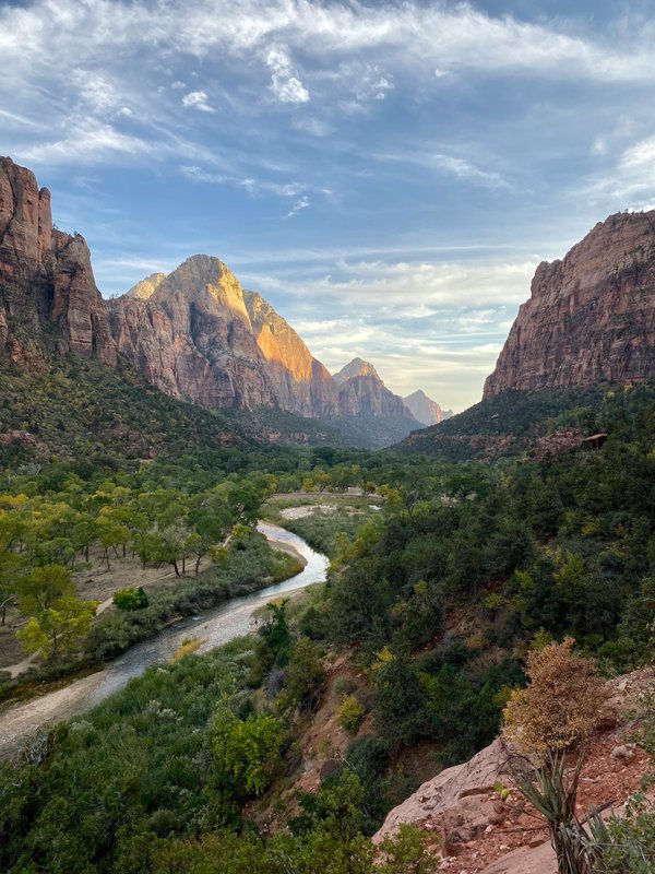 Quels sont les meilleurs itinéraires pour une randonnée dans le parc national de Zion, USA?